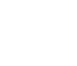 Green Party Footer logo